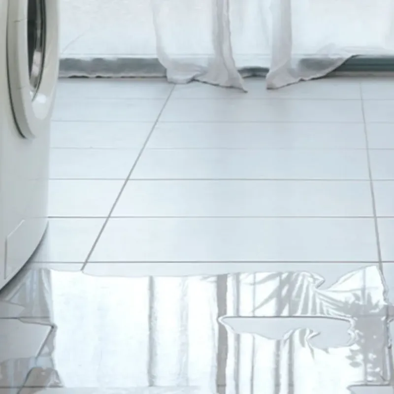 Appliance Leak Cleanup in Milford, IA