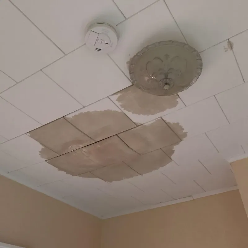 Ceiling Water Damage Repair in Milford, IA