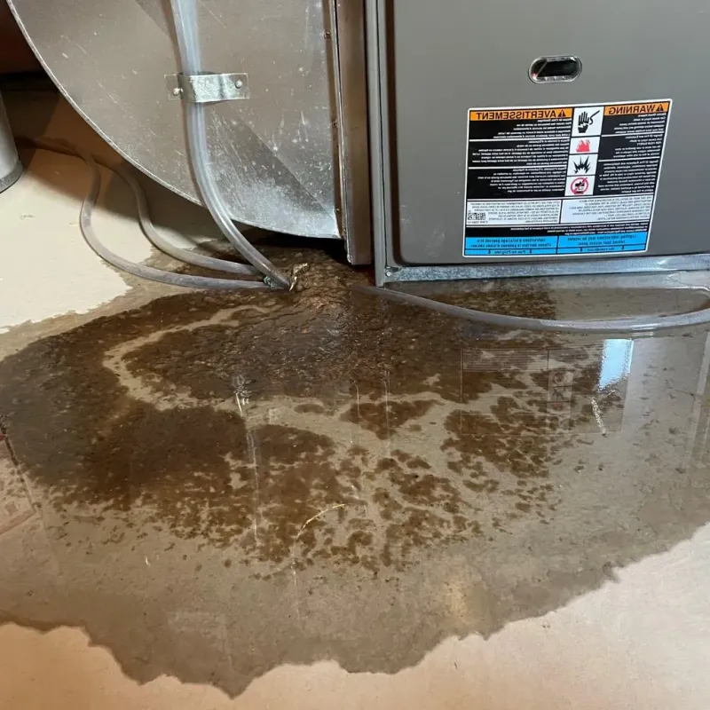 Pipe Burst and Leak Restoration in Milford, IA