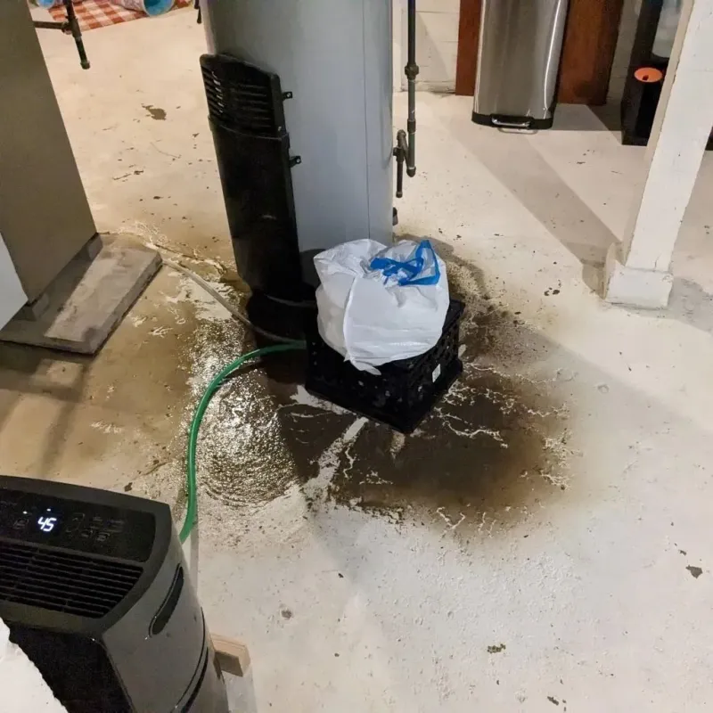 Sewage Backup Cleanup Service in Milford, IA
